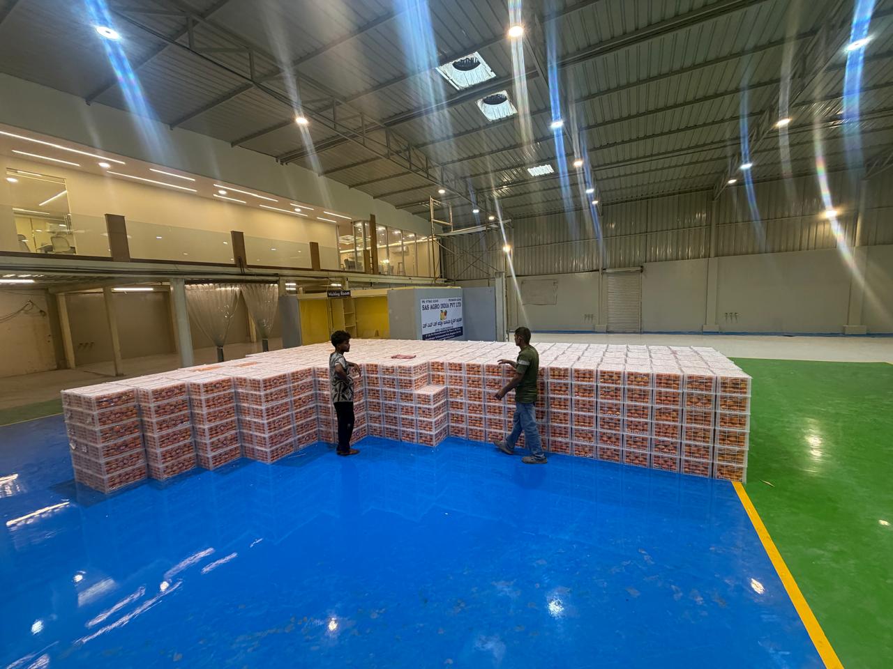 Packed orange crates arranged across a produce warehouse floor